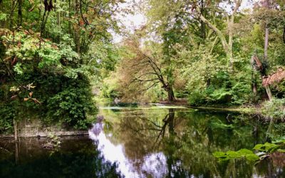 Une séance en plein air ce week-end, ça vous dit?