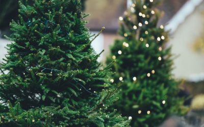 Merry & Bright