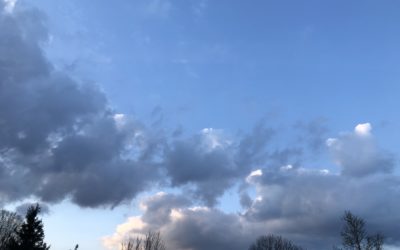 Séance en plein air, ça vous dit ?