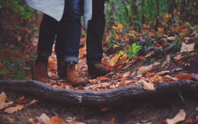 ★Les Rencontres Sophro & Co ★ 22 octobre 2022 : Connectez-vous à l’automne !