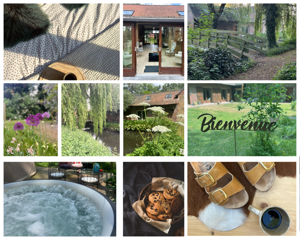 Images nature éveil printemps Butterfly 