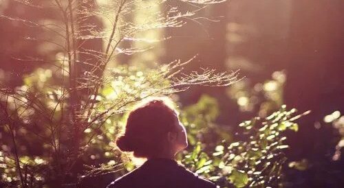Dans la foret